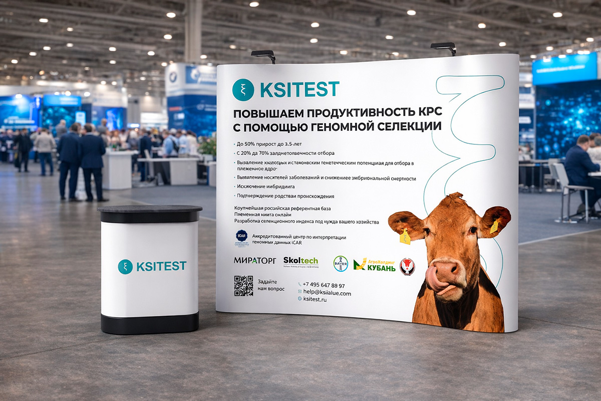 Стенд